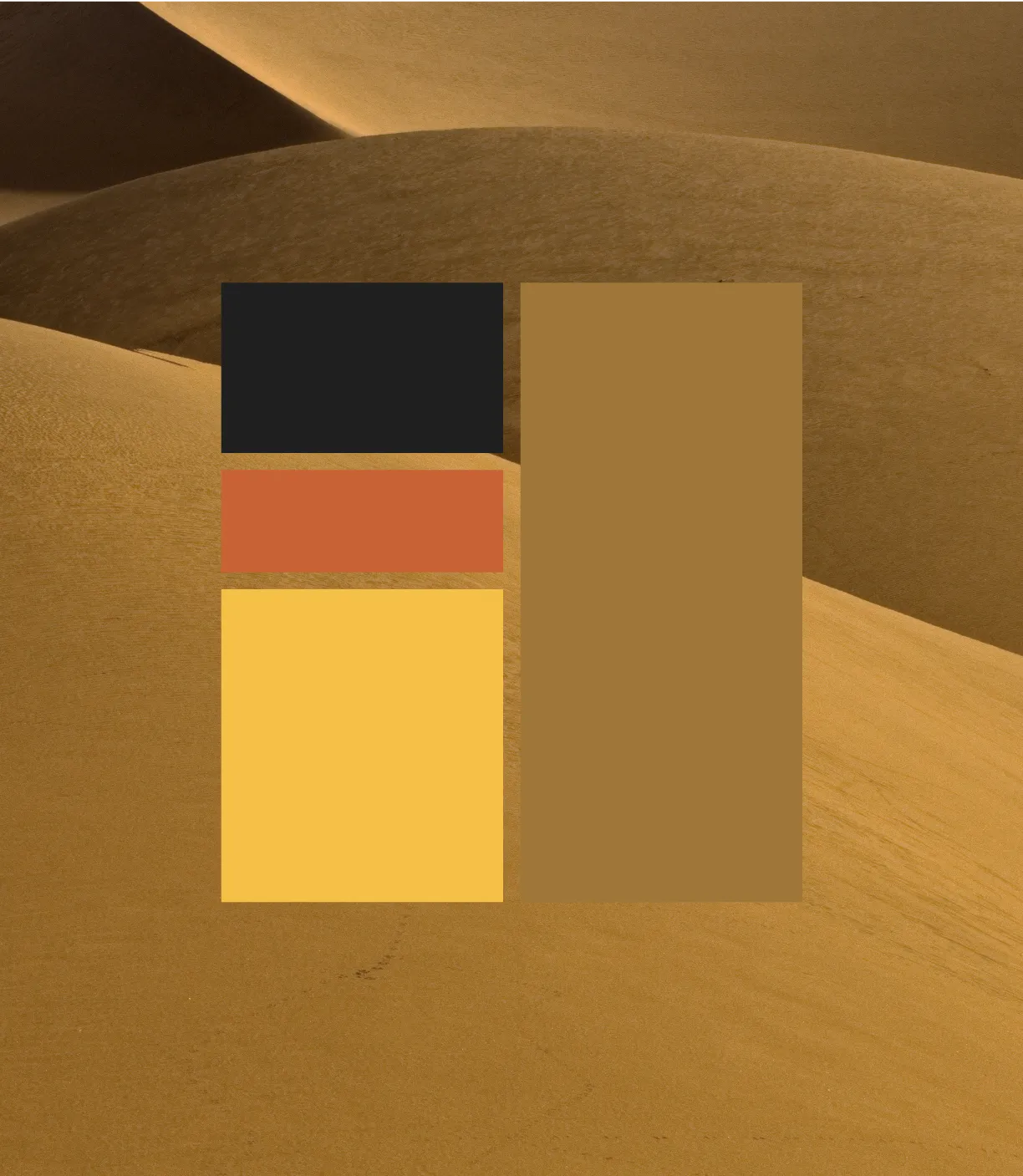 Brand identity, visual system, and website for an ancient manuscript research institute partnering with the University of Otago and the University of Oxford. POV NZ (www.pov.nz)