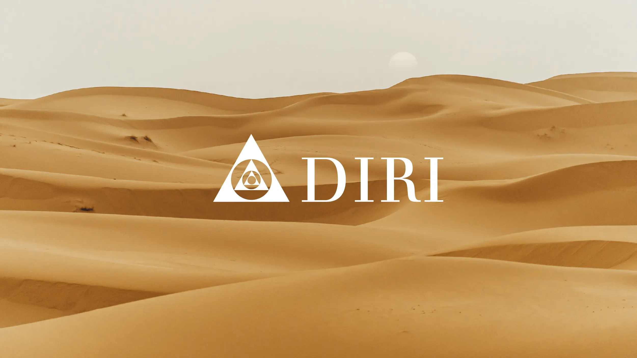 DIRI POV Case Studies 9