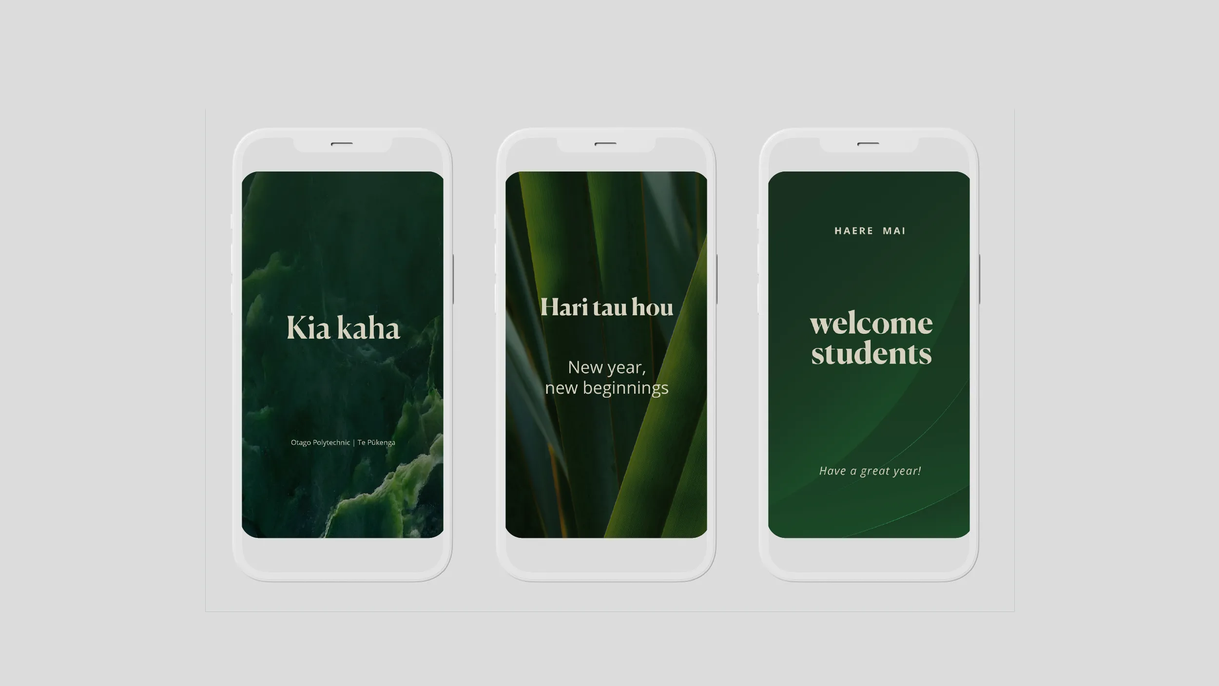 POV designed a modular social media template suite for Otago Polytechnic Te Pukenga, enabling the communications team to produce consistent, professional content across Instagram, Facebook, and LinkedIn at scale. Location: Dunedin, New Zealand POV New Zealand - www.pov.nz